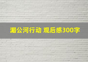 湄公河行动 观后感300字